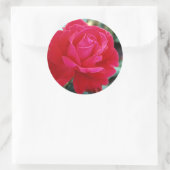 Rozen 258 ronde sticker (Tas)