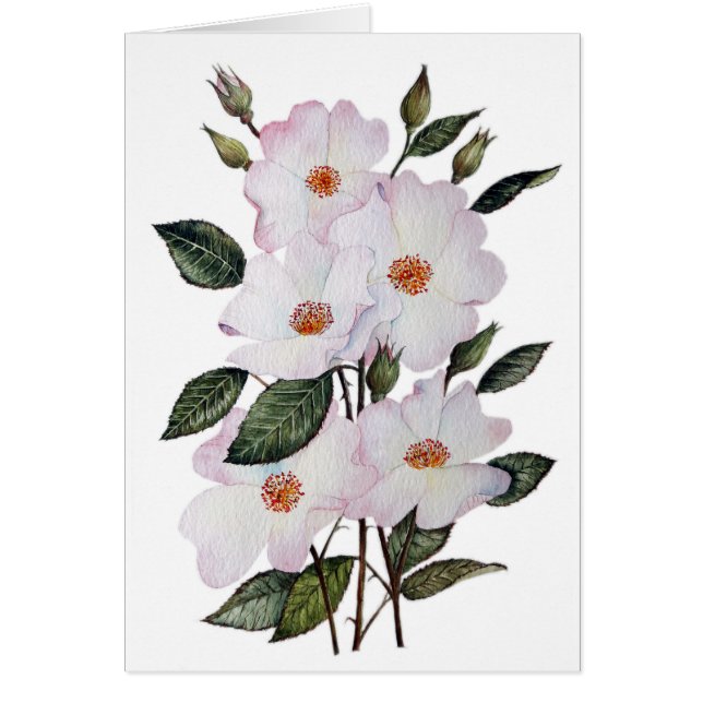 Rozen "Ballerina" - Floral Art (Voorkant)