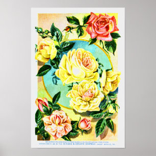 Rozen  bedrijf voor bloemen poster