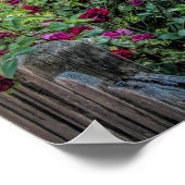 Rozen bij de Plimoth Grist Mill Poster (Hoek)