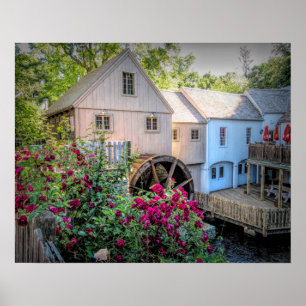 Rozen bij de Plimoth Grist Mill Poster