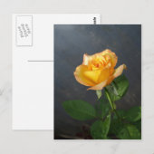 rozen bloem briefkaart (Voorkant / Achterkant)