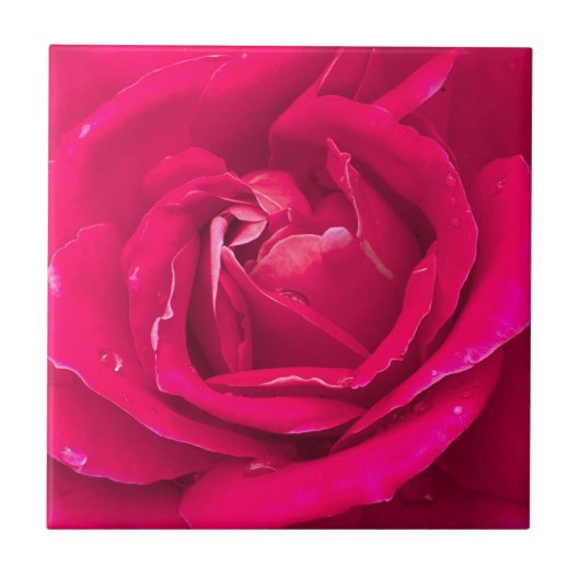Rozen bloem tegeltje (Voorkant)
