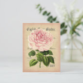 Rozen bloem  vrouwelijk briefkaart met bloemkolf (Staand voorkant)