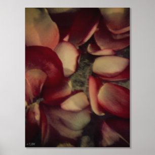  Rozen bloemblaadjes Goud of zilveren foliedruk Folie Afdrukken