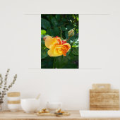 Rozen bloemen poster (Keuken)
