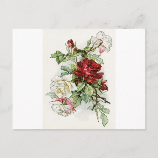 Rozen bloemen  roos Victoriaans Briefkaart (Voorkant)