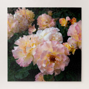 Rozen bloemen, roze gele rozen legpuzzel