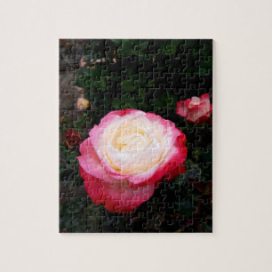 Rozen bloemen, roze rode witte rozen legpuzzel