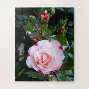 Rozen bloemen, roze rode witte rozen legpuzzel