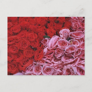 Rozen Briefkaart