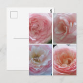 Rozen Briefkaart (Voorkant / Achterkant)