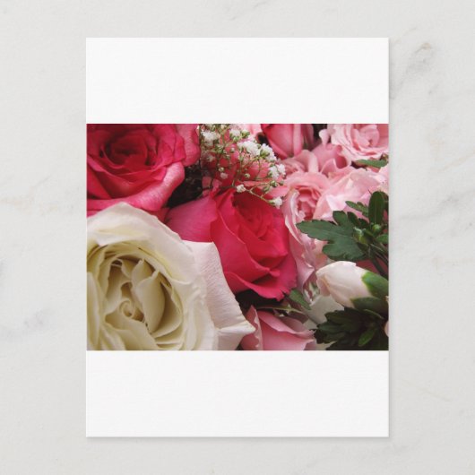 rozen briefkaart (Voorkant)