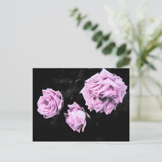 Rozen Briefkaart (Staand voorkant)