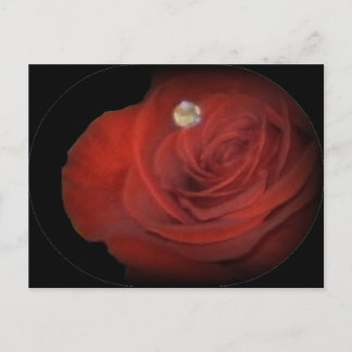 Rozen Briefkaart