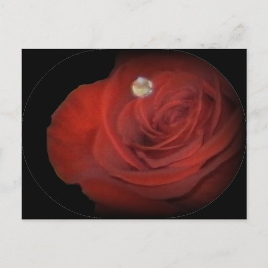Rozen Briefkaart (Voorkant)