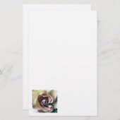 ROZEN BRIEFPAPIER (Voorkant / Achterkant)