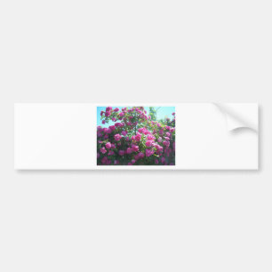Rozen Bumpersticker