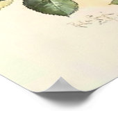 Rozen en bijen Paul de Longpre Fine Art Poster (Hoek)