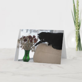 Rozen en de kat feestdagen kaart