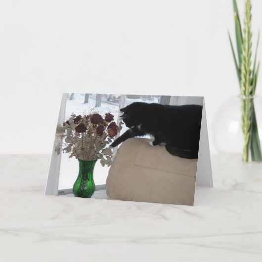 Rozen en de kat feestdagen kaart (Voorkant)