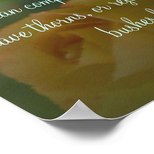 Rozen en Inspirerend Poster (Hoek)