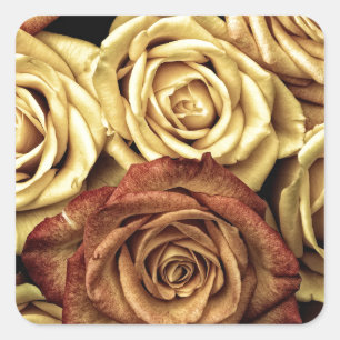 Rozen geel en rood vierkante sticker