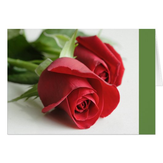 Rozen helemaal (Voorkant Horizontaal)