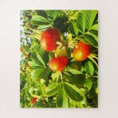 Rozen heupen legpuzzel (Verticaal)