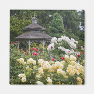 Rozen in bloei en Gazebo Roos Garden bij Magneet