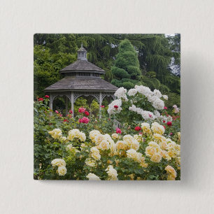 rozen in bloei en prieel rozentuin bij de vierkante button 5,1 cm