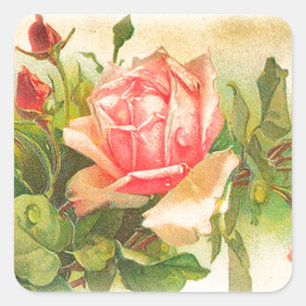 Rozen in Bloom Vierkante Sticker