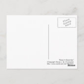 Rozen in december, briefkaart (Achterkant)