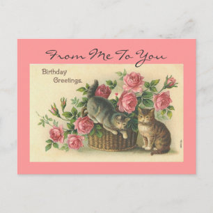 Rozen/Katten Verjaardag -Briefkaart Briefkaart