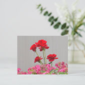 Rozen knoppen die uitbarsten van Hydrangea Lace Pe Briefkaart (Staand voorkant)