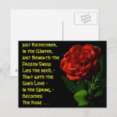 Rozen komen... briefkaart (Voorkant / Achterkant)