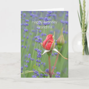 Rozen Lavendel Bloemig (mijn fotografie) Verjaarda Kaart