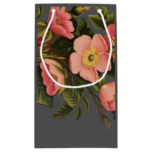 Rozen Mooi Roze Botanisch Klein Cadeauzakje (Achterkant)