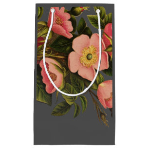 Rozen Mooi Roze Botanisch Klein Cadeauzakje