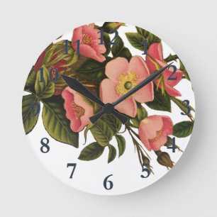  Rozen Mooi Roze Botanisch Ronde Klok