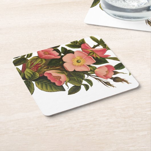 Rozen Mooi Roze Botanisch Vierkante Kartonnen Onderzetter (Schuin)