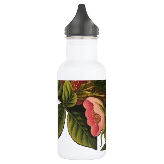  Rozen Mooi Roze Botanisch Waterfles (Links)