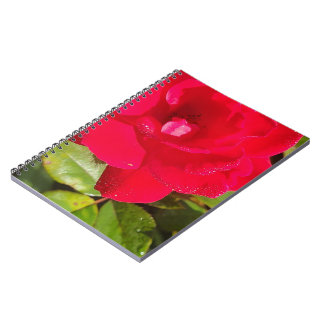 Rozen Notitieboek