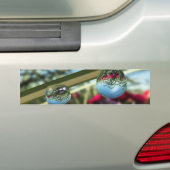 Rozen op de Bumpersticker Raindrops (Op auto)
