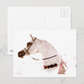 Rozen op een grijs briefkaart (Voorkant / Achterkant)