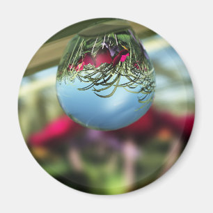 Rozen op Raindrops Magnet Magneet