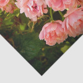 Rozen ophalen Gift Tissue Tissuepapier (Detail)