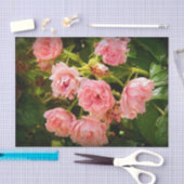 Rozen ophalen Gift Tissue Tissuepapier (Craft)