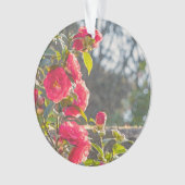 Rozen ornament (voorkant)