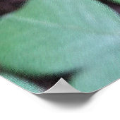 rozen pastel bloeien poster (Hoek)